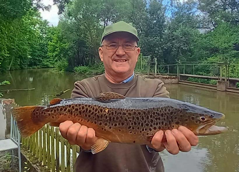 Siggi Gellert Bachforelle 51 cm 1400 g Bibert