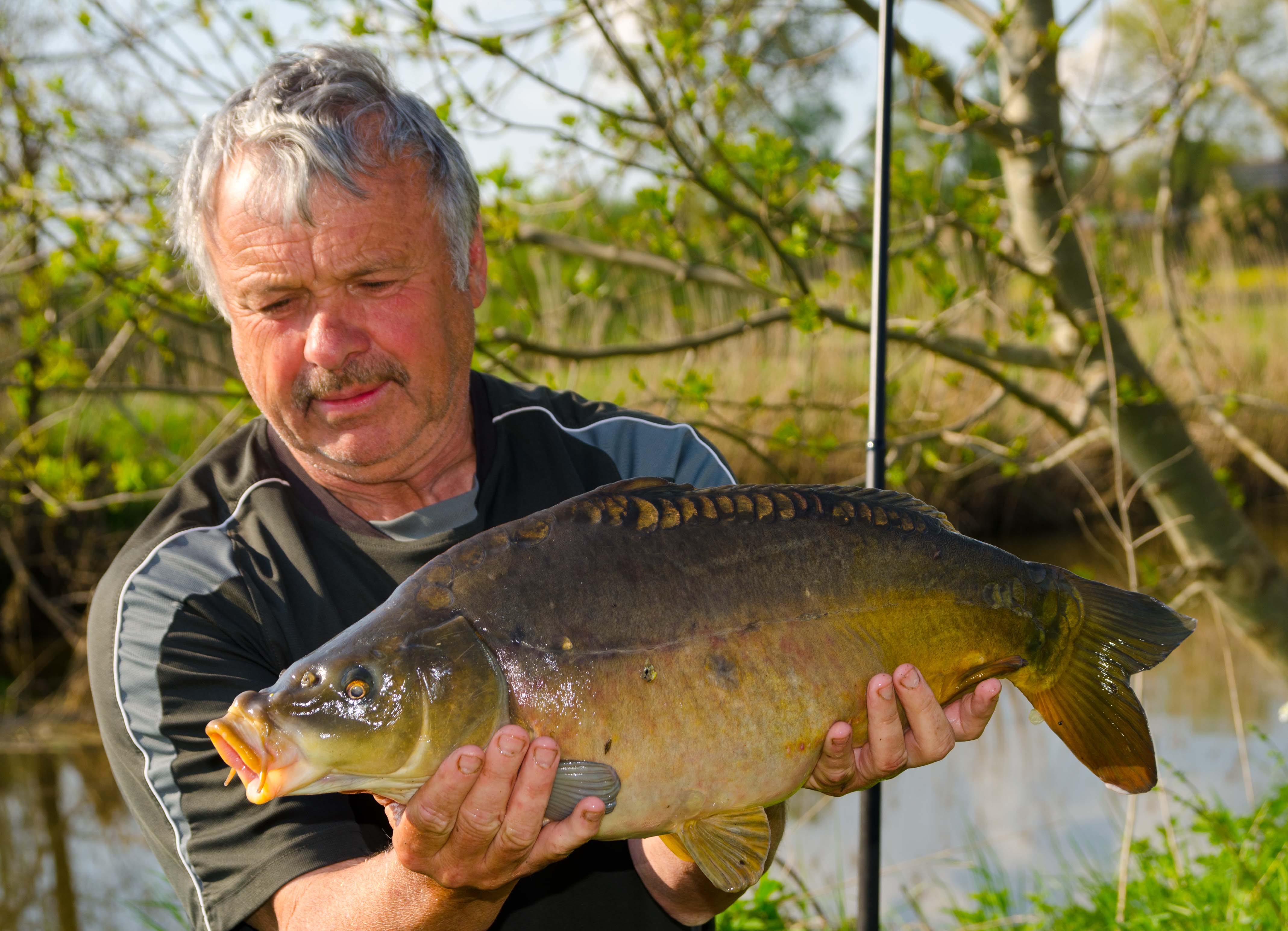 Georg Koppen Karpfen 80 cm 19 Pfund Wörnitz