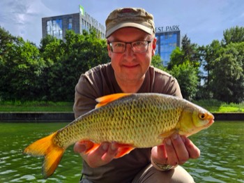 Armin Tuchan Rotauge 42 cm 1,0 kg RMD-Kanal