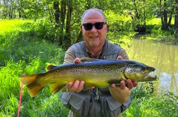 Harald Berger Bachforelle 56 cm 2,1 kg Bibert