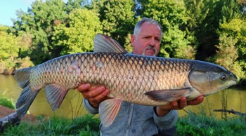 Martin Schmidt Graskarpfen 80 cm 11.300 g Rednitz