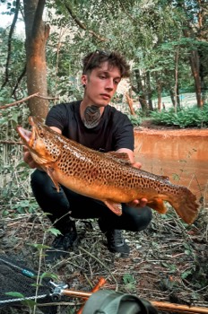 Nico Baumgärtel Bachforelle 50 cm 1,6 kg Bibert