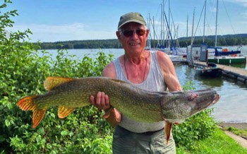 Oswald Seitz Hecht 110 cm 20 Pfund Kleiner Brombachsee