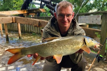 Thomas Gögelein Barbe 65 cm 2,4 kg Regnitz