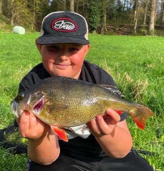 Lennox Kilian Barsch 40 cm 900 g Rednitz
