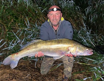 Stefan Schneider Zander 88 cm 14,5 Pfund Wörnitz