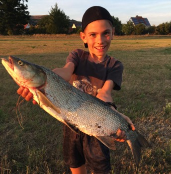 Luca Schmidt Rapfen 70 cm 2,1 kg Wörnitz