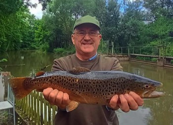 Siggi Gellert Bachforelle 51 cm 1400 g Bibert