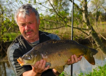 Georg Koppen Karpfen 80 cm 19 Pfund Wörnitz