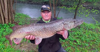 Christian Seigfried Hecht 105 cm 19 Pfund Pegnitz