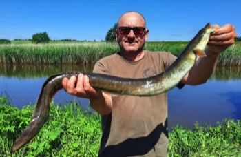 Klaus Tuchan Aal 88 cm 1,6 kg Wörnitz