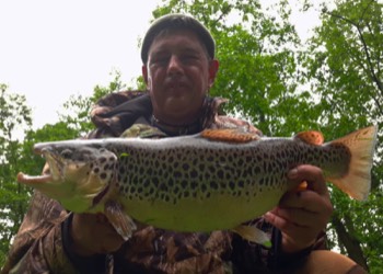 Peter Rösch jun. Bachforelle 55 cm 2,1 kg Schwarze Laaber