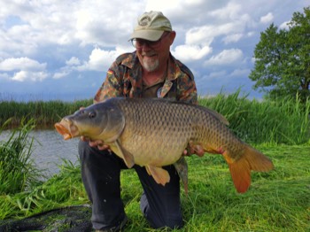 K-H Petschner Schuppenkarpfen 80 cm 12,2 kg Wörnitz