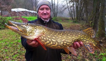 Christian Seigfried Hecht 88 cm 13 Pfund Schwarze Laaber