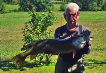 Erwin Riegel Hecht 97 cm Bibert