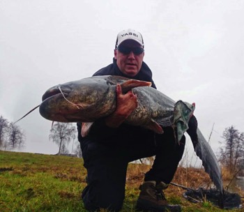 Herrmann, Waller 172 cm 36,3 kg Wörnitz